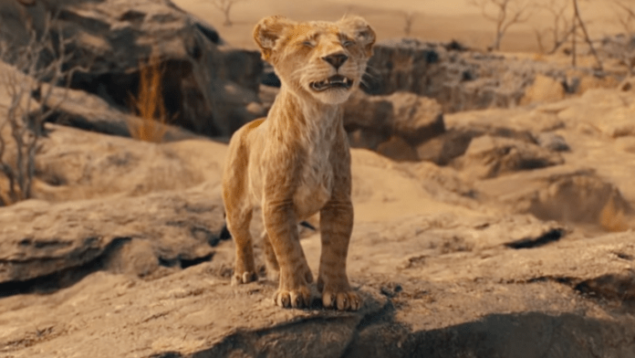 mufasa re leone disney mufasa re leone disney